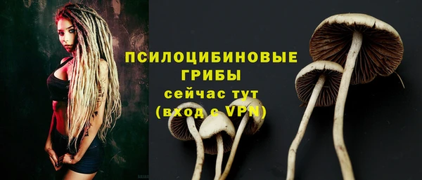 синтетический гашиш Армянск