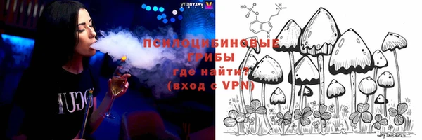прущие грибы Арсеньев