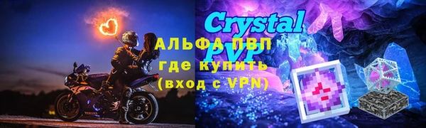 прущие грибы Арсеньев