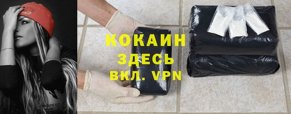 прущие грибы Арсеньев